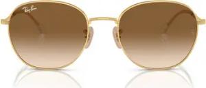 Ray-ban Sonnenbrillen Sonnenbrille RB3809 001/51