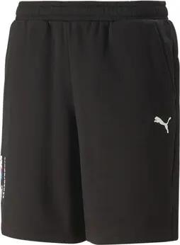 Puma  Shorts 538146-01