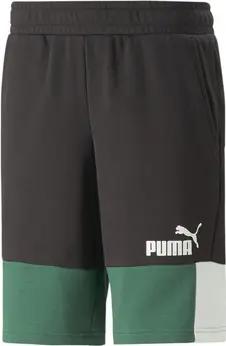 Puma Shorts 847429-37