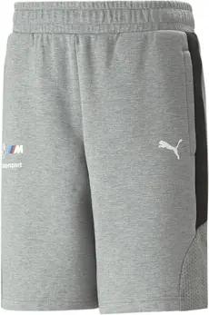 Puma Shorts 538134-03