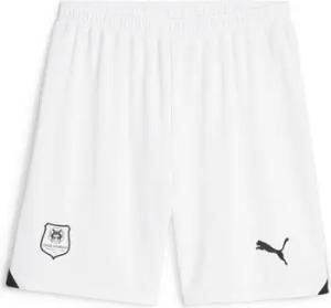 Puma Shorts 771138-02