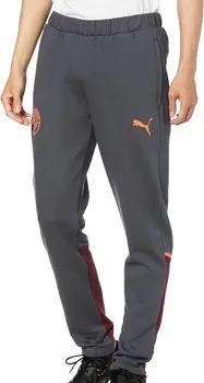 Puma Trainingsanzüge 772906-22