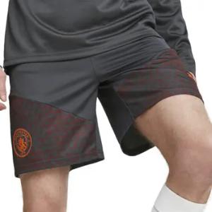 Puma Shorts 772867-16