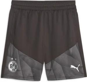 Puma Shorts 771836-12
