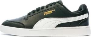Puma Sneaker 309668-04