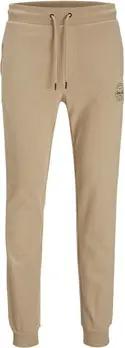 Jack & Jones  Trainingsanzüge Gordon Shark Sweat Pant