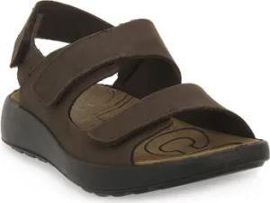 IgI&CO Sandalen PALMER MORO