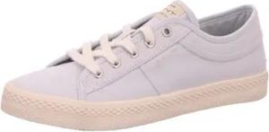 Gant  Sneaker Pinestreet 24538721/G631