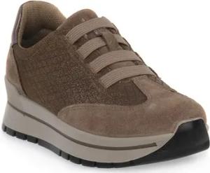 IgI&CO Sneaker ANIKA FANGO