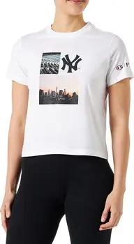 Champion T-Shirt 116469