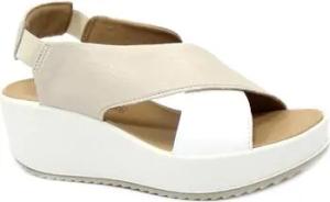IgI&CO Sandalen IGI-E24-5668811-PA