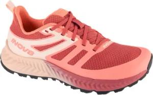 Inov 8  Herrenschuhe Trailfly Standard W