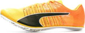 Puma Herrenschuhe 376998-01