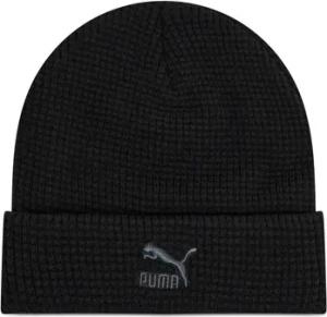 Puma  Hut -