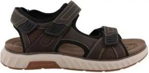 Westland Damenschuhe 74R0071002