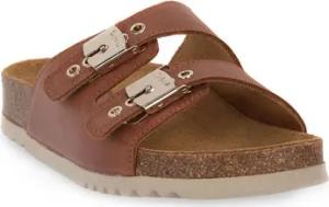 Scholl Schuhe LIGHT BROWN ALBA