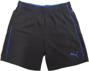 Puma  Shorts 515190