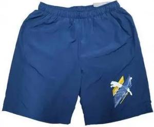 Puma  Shorts 836529
