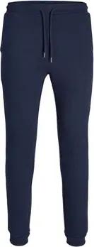 Jack & Jones  Hosen -