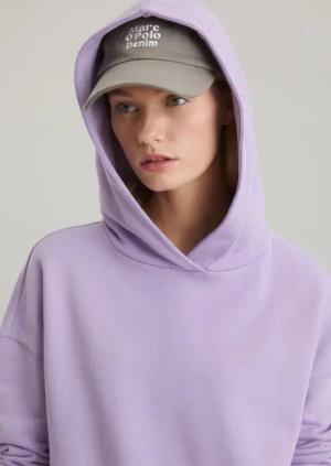 DfC Hoodie regular