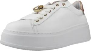 Gio + Sneaker PIA244B