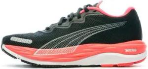 Puma  Herrenschuhe 376262-19