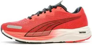 Puma Herrenschuhe 195337-16