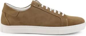 Duca Di Morrone Sneaker Brando - Suede Brown