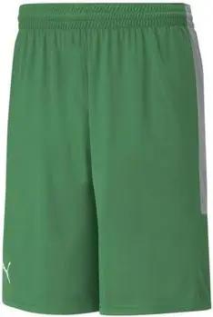 Puma Shorts 605070-03