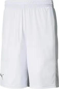 Puma Shorts 605070-02