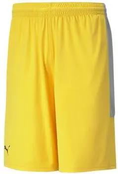 Puma Shorts 605070-04