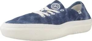 Vans  Sneaker CIRCLE VEE