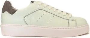 Doucal's Sneaker -