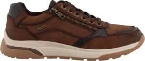 Westland Herrenschuhe 84R0051001