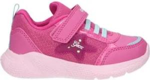Geox Kinderschuhe B254TD 0HH14 B SPRINTYE