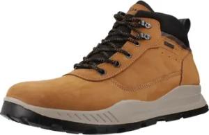 IgI&CO Stiefel 6630022IG