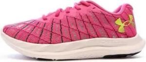 Under Armour Herrenschuhe 3026142-600
