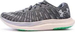 Under Armour Herrenschuhe 3026142-105
