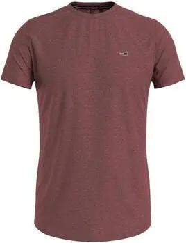Tommy Hilfiger T-Shirts & Poloshirts DM0DM09586