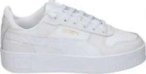 Puma Schuhe 393846-01