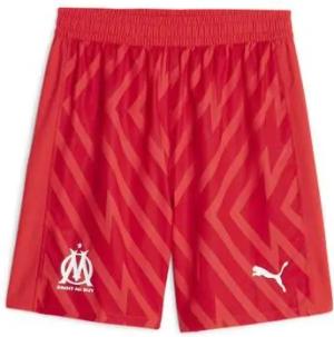 Puma  Shorts 771358-99