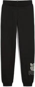 Puma  Trainingsanzüge 681829-01