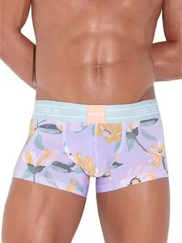 Code 22  Boxer Boxer Secret Garden Code22
