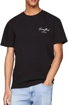 Tommy Hilfiger T-Shirts & Poloshirts DM0DM18518-BDS