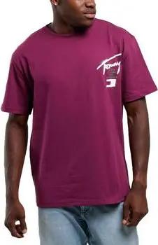 Tommy Hilfiger T-Shirts & Poloshirts DM0DM18529-VVK
