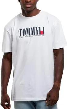 Tommy Hilfiger T-Shirts & Poloshirts DM0DM18533-YBR