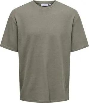 Only & Sons T-Shirts & Poloshirts 22033384-BC