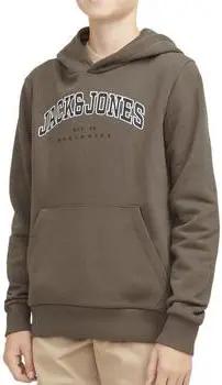 Jack & Jones Kinder-Sweatshirt 12259564-CAE