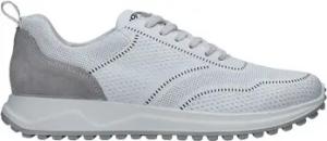 IgI&CO  Sneaker 3629000
