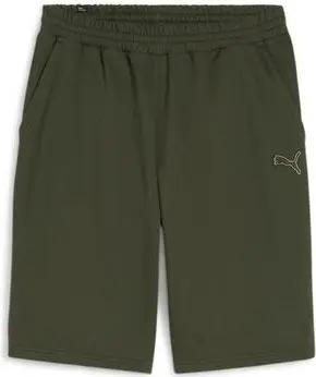 Puma Shorts 679992-43